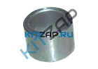 ������ ����